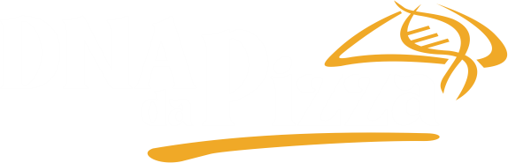 DNA da Pizza • Ponta Grossa